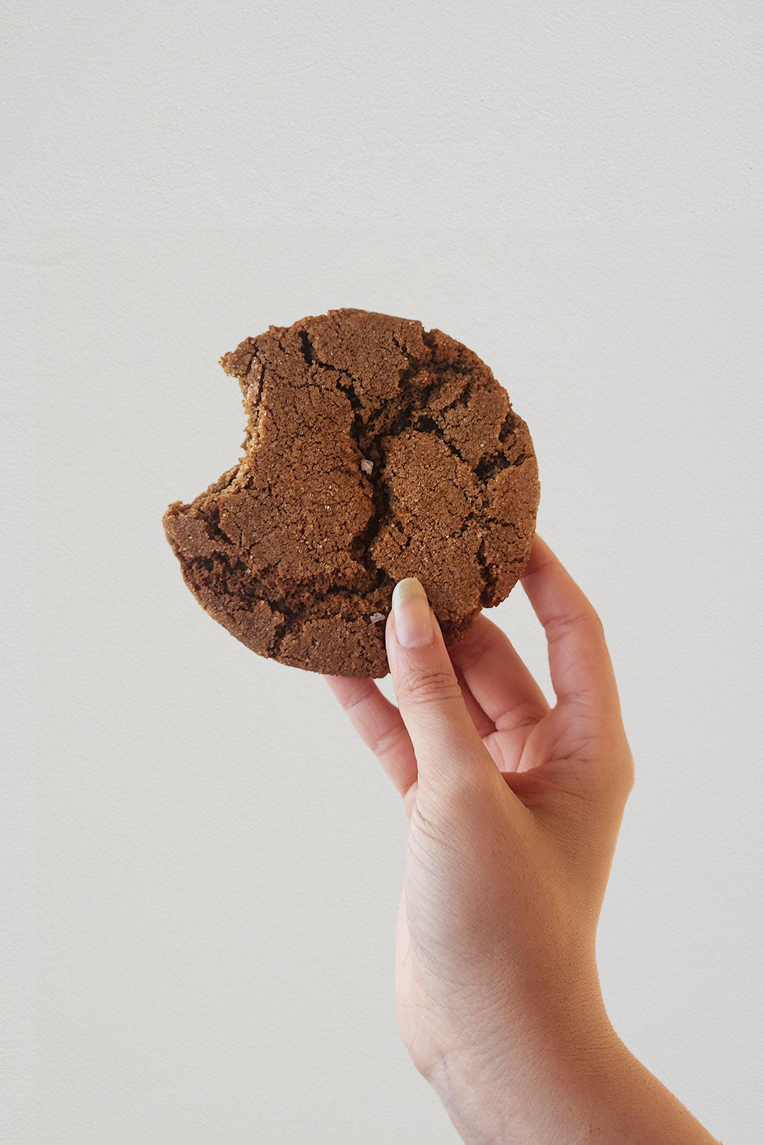 Hand holding espresso cookie against white background.